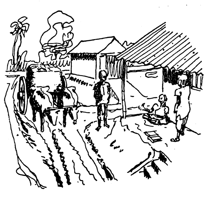 Line drawing of a bullock cart travelling through a village.