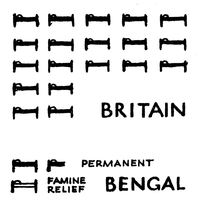 Diagram howing the proportionate numbers of hospital beds.